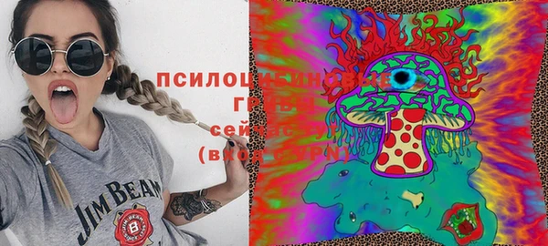 бошки Алзамай