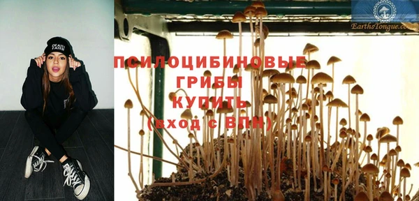 дурь Алексеевка