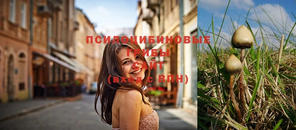 бошки Алзамай