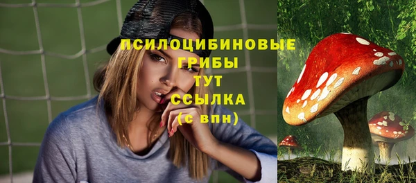 дурь Алексеевка