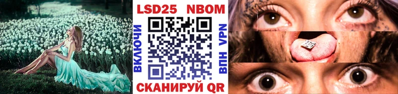 Марки N-bome 1,5мг  даркнет официальный сайт  Гаджиево  купить наркотики сайты 